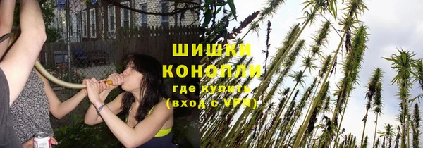 ПСИЛОЦИБИНОВЫЕ ГРИБЫ Волоколамск